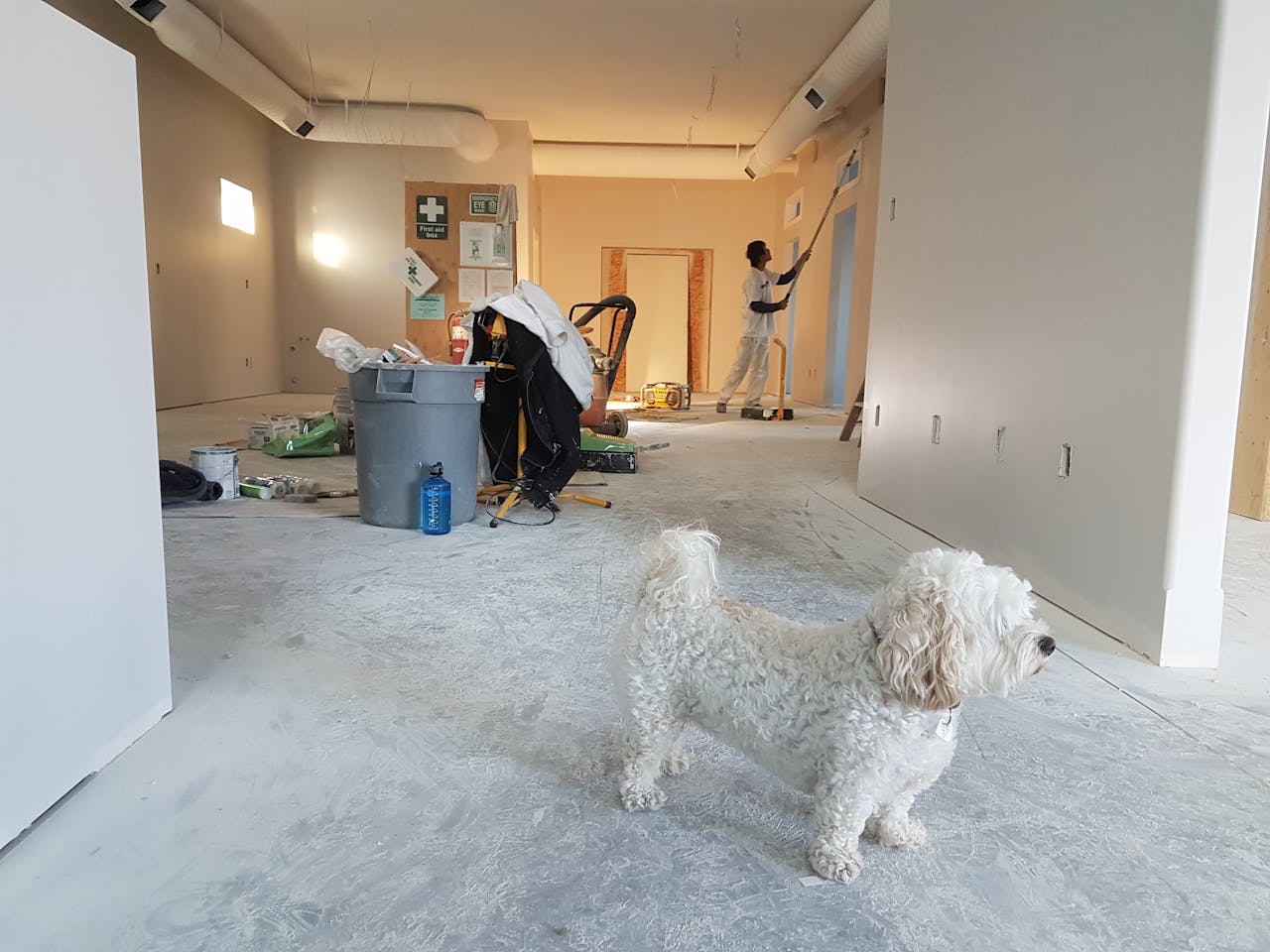 pexels-photo-735319 Interior renovation scene with a painter working and a dog in the foreground.